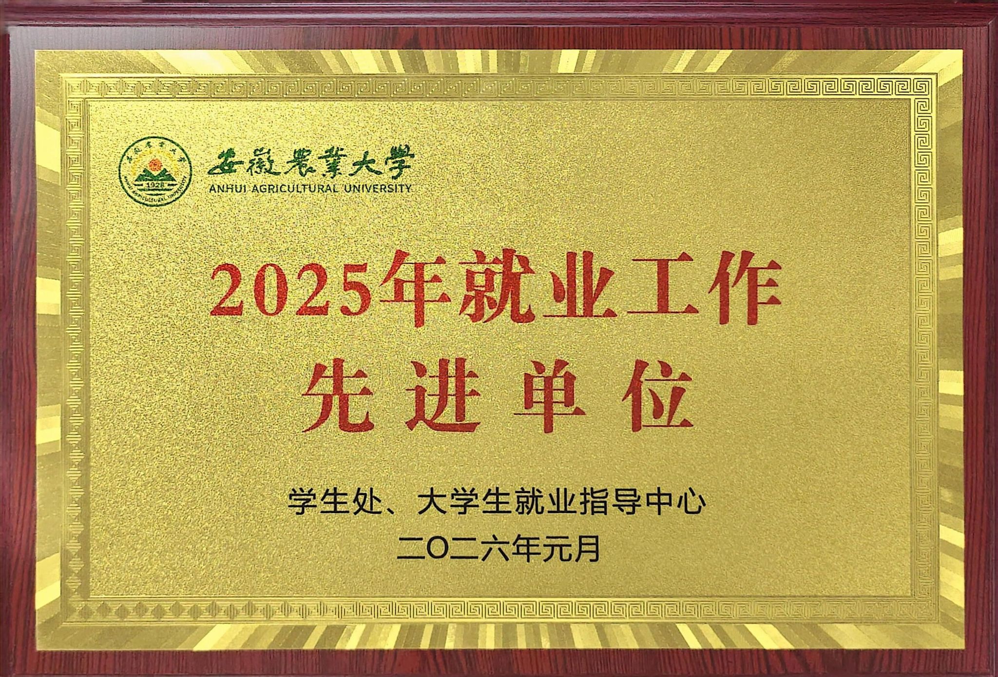 公司获评2025年度就业工作先进单位